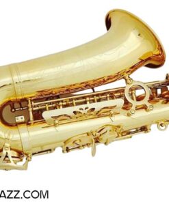 Kèn Saxophone Alto Full Phụ Kiện