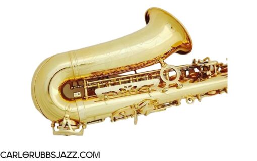 Kèn Saxophone Alto Full Phụ Kiện