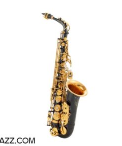 Kèn SAXOPHONE ALTO YAMAHA MK007