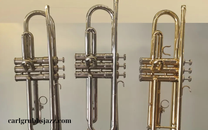 Giá trumpet và địa chỉ mua hàng uy tín (2)