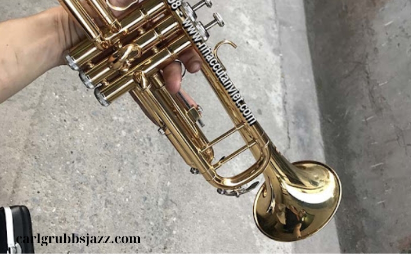 Giá trumpet và địa chỉ mua hàng uy tín (3)