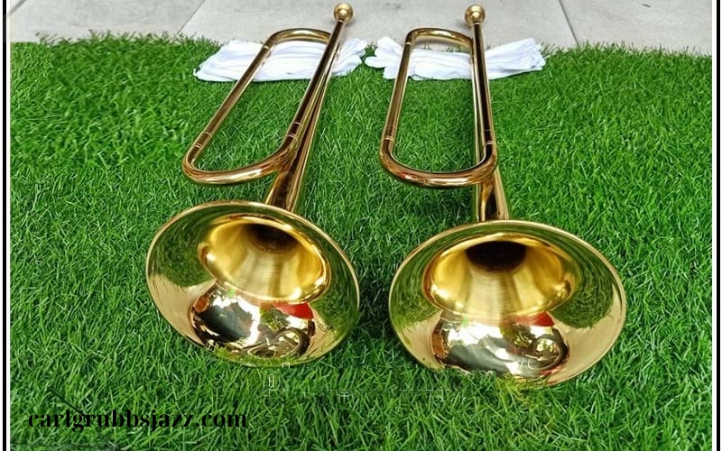 Giá trumpet và địa chỉ mua hàng uy tín (4)