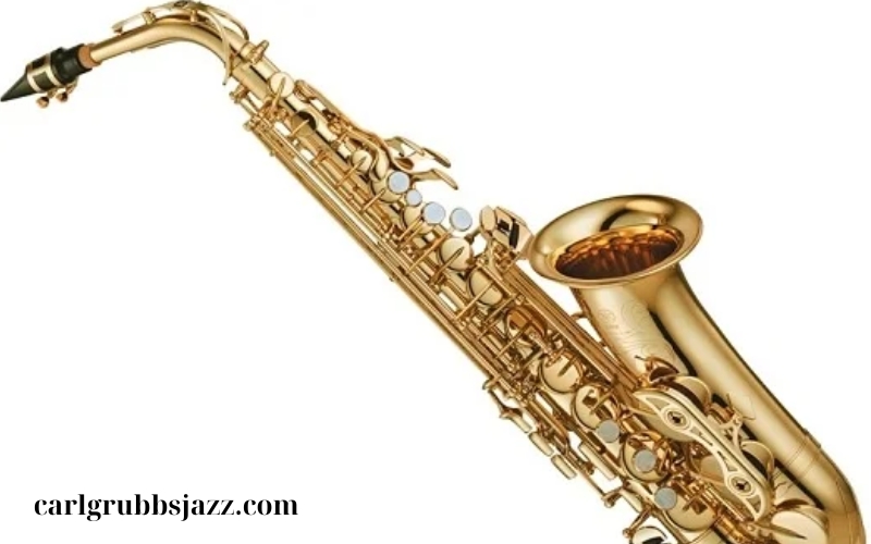 Nhạc cụ Saxophone Alto (2)