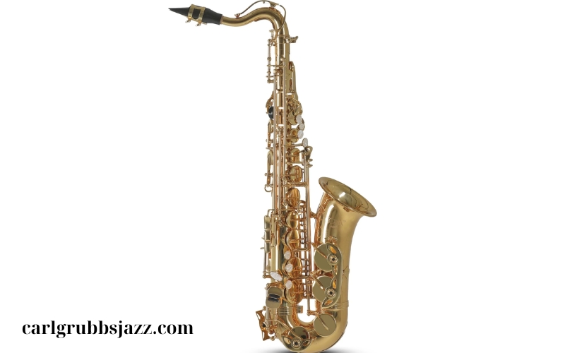 Nhạc cụ Saxophone Alto (4)