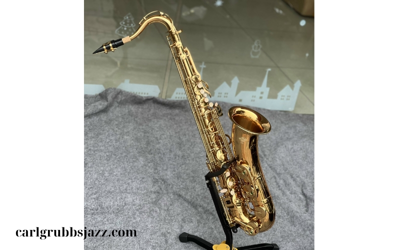 Nhạc cụ Saxophone Tenor (2)