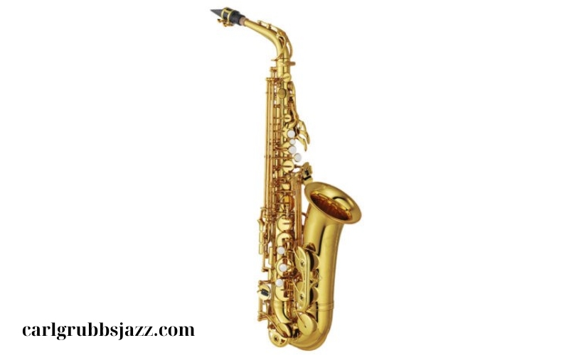 Nhạc cụ Saxophone Tenor (3)