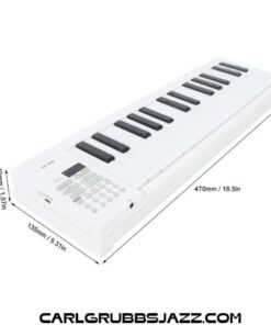 Đàn piano điện gấp gọn 61 phím di động